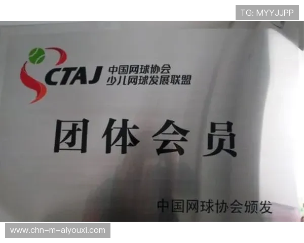 网球联盟推动基层场馆冬季训练与设施保养计划，网球场地的管理与维护