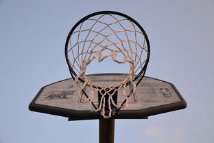 爱游戏app活动-NBA联盟与高校篮球合作开发机制研究，大学篮球联盟叫什么