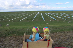 爱游戏-青少年足球训练方法现代化，青少年足球技术