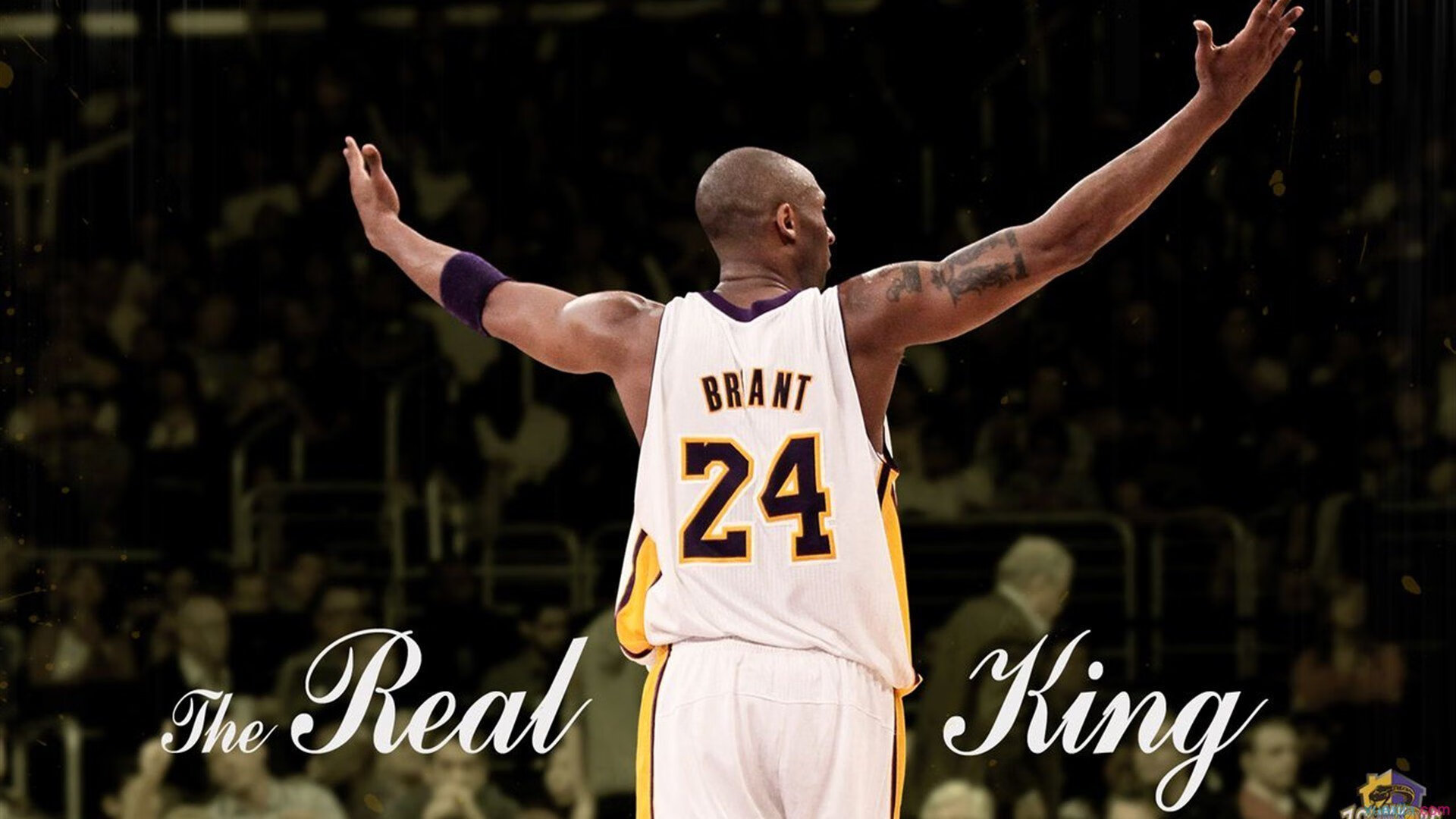 世界冰球:加拿大队霸气夺冠,霸主地位不可撼动!,冰球世锦赛加拿大